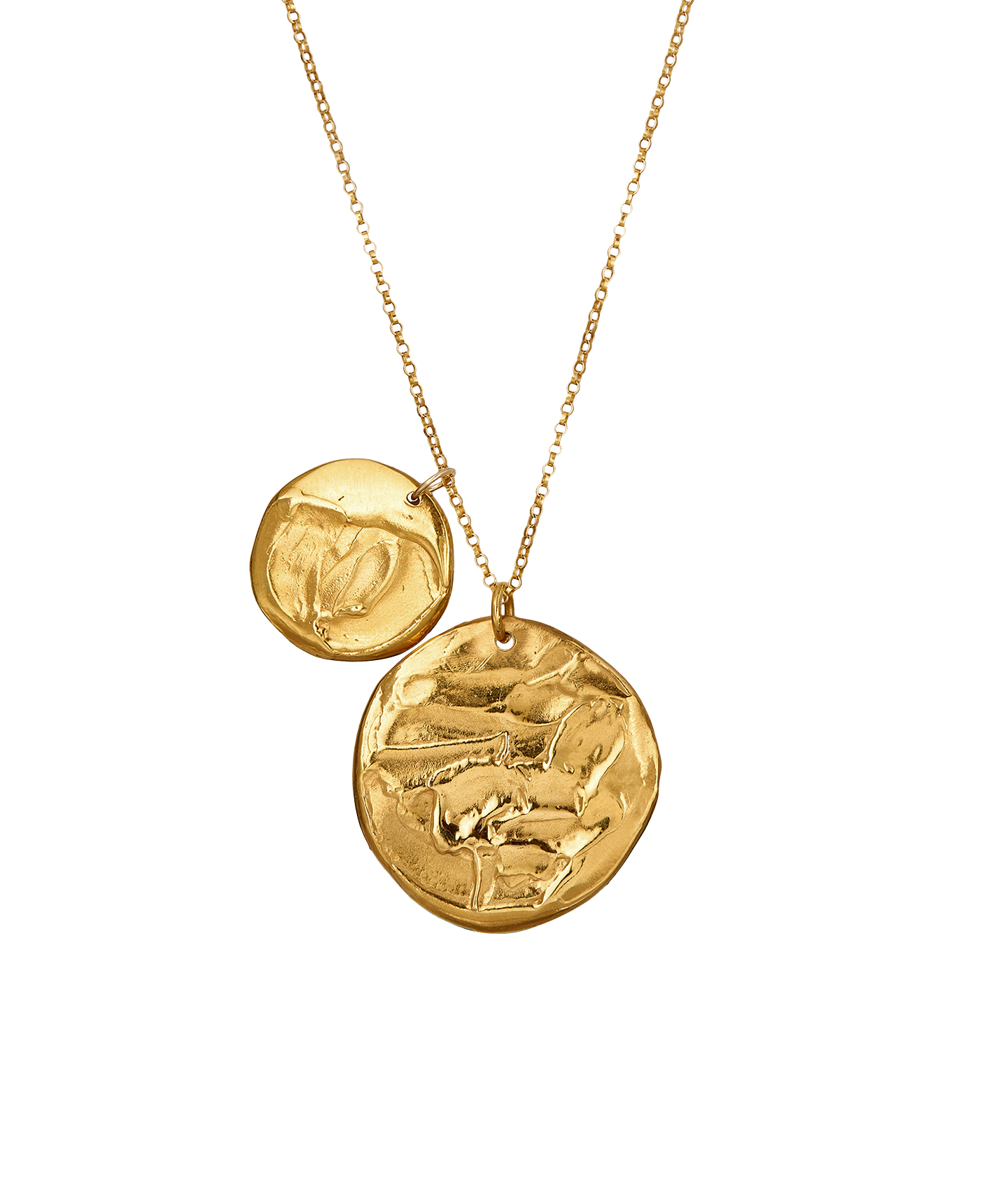 Alighieri Gone Fishing Double Medallion collier poisson doré