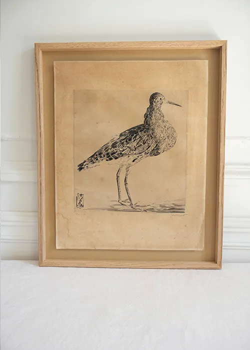 Aimée.Aimer Œuvres Gravure Bécasse Hecht 42,5 cm Encadrée