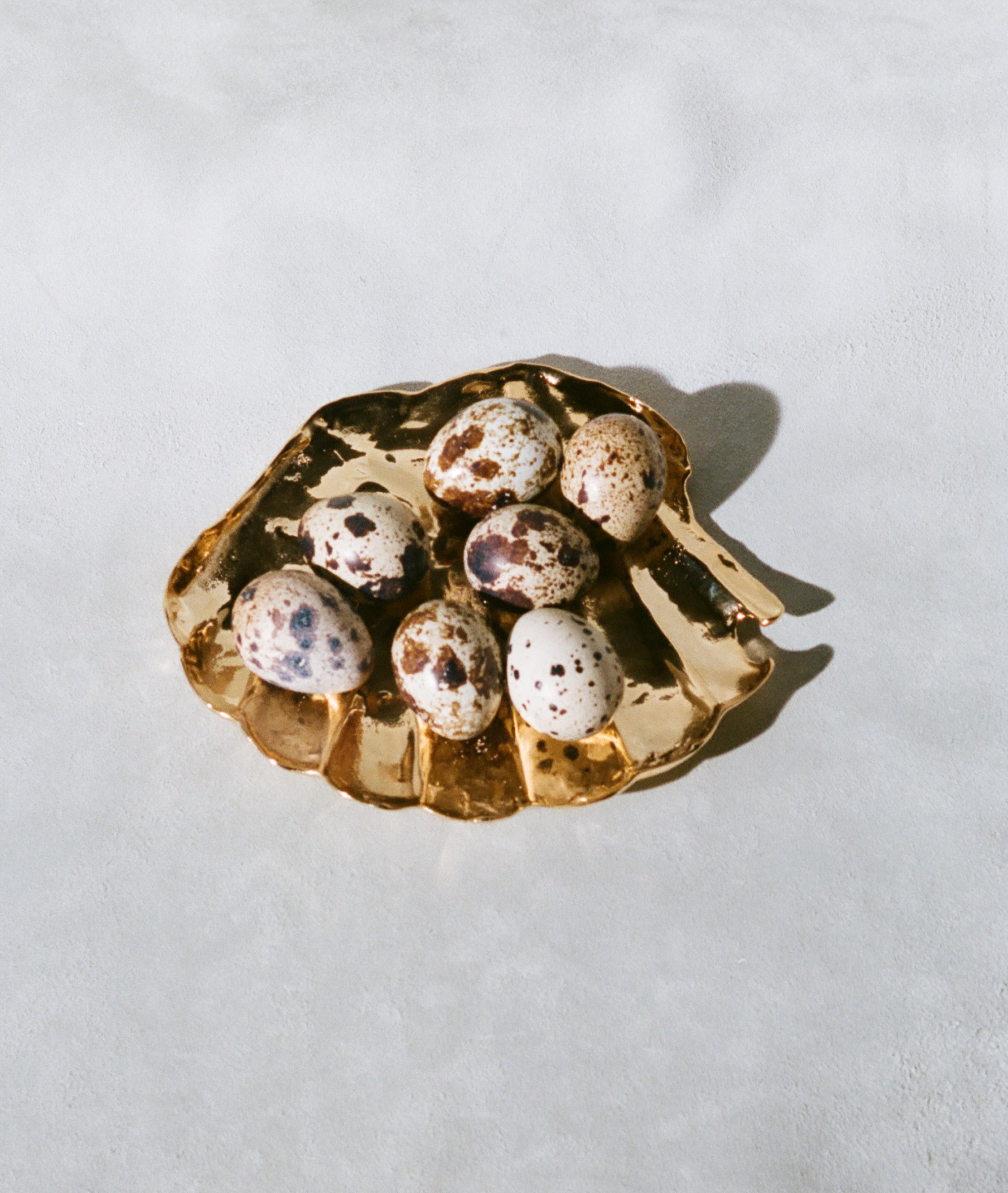 Alighieri Shell of Clarity coupelle coquillage doré