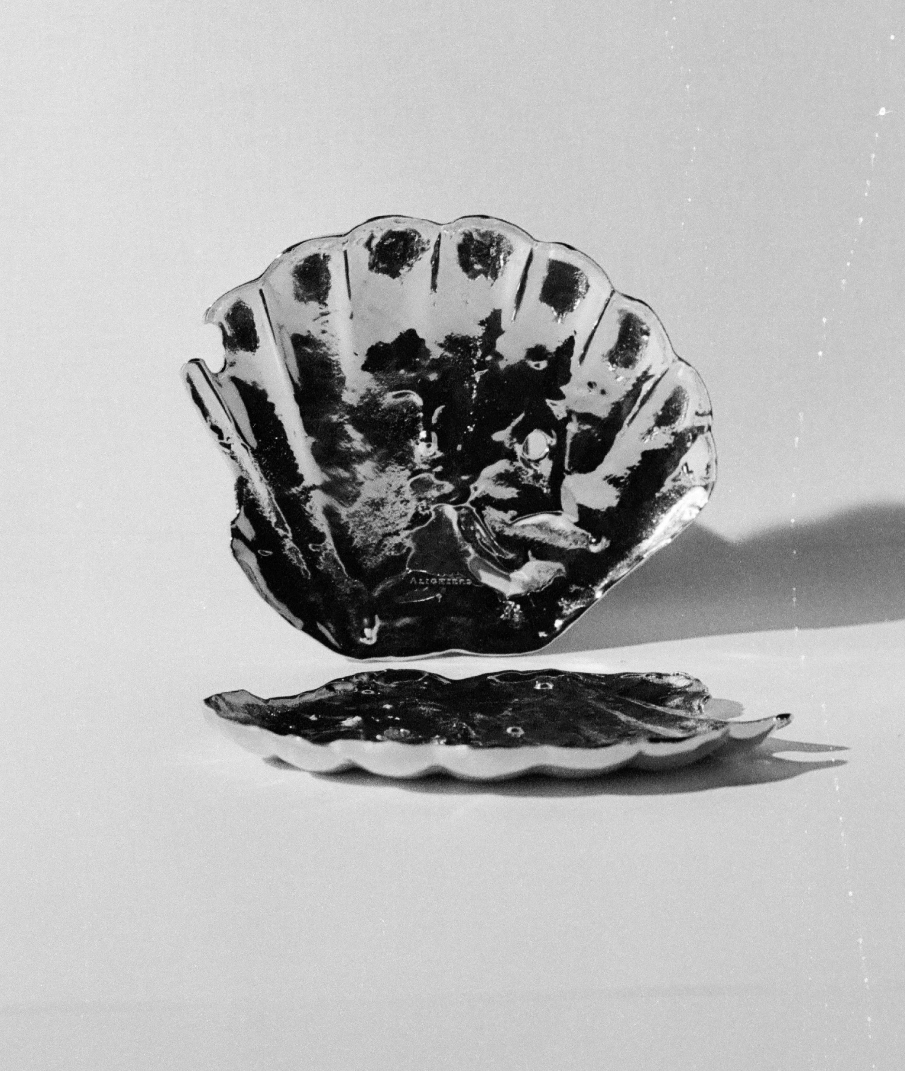 Alighieri Shell of Clarity coupelle coquillage doré