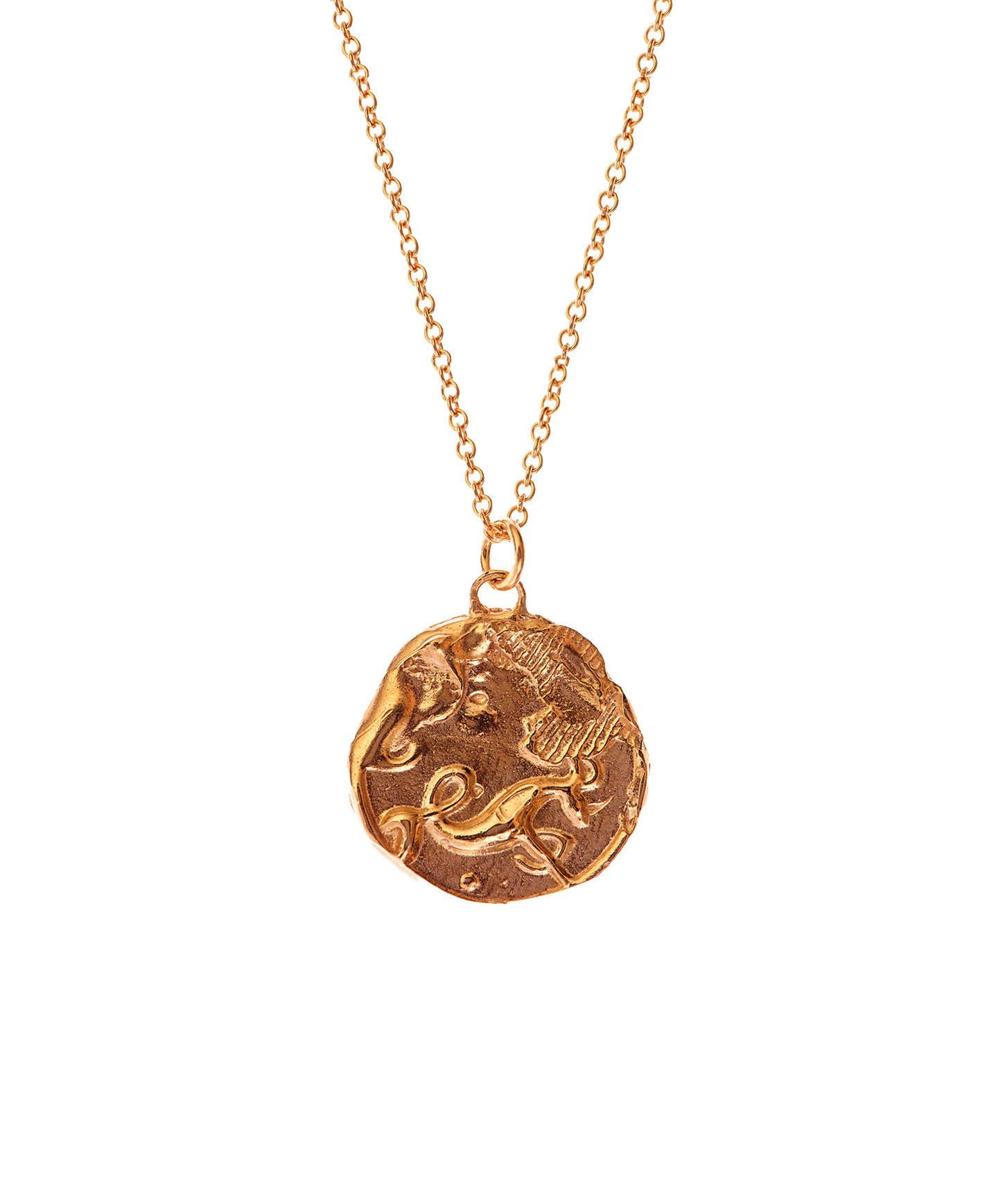 Alighieri Capricorn Medallion collier médaillon or 24ct