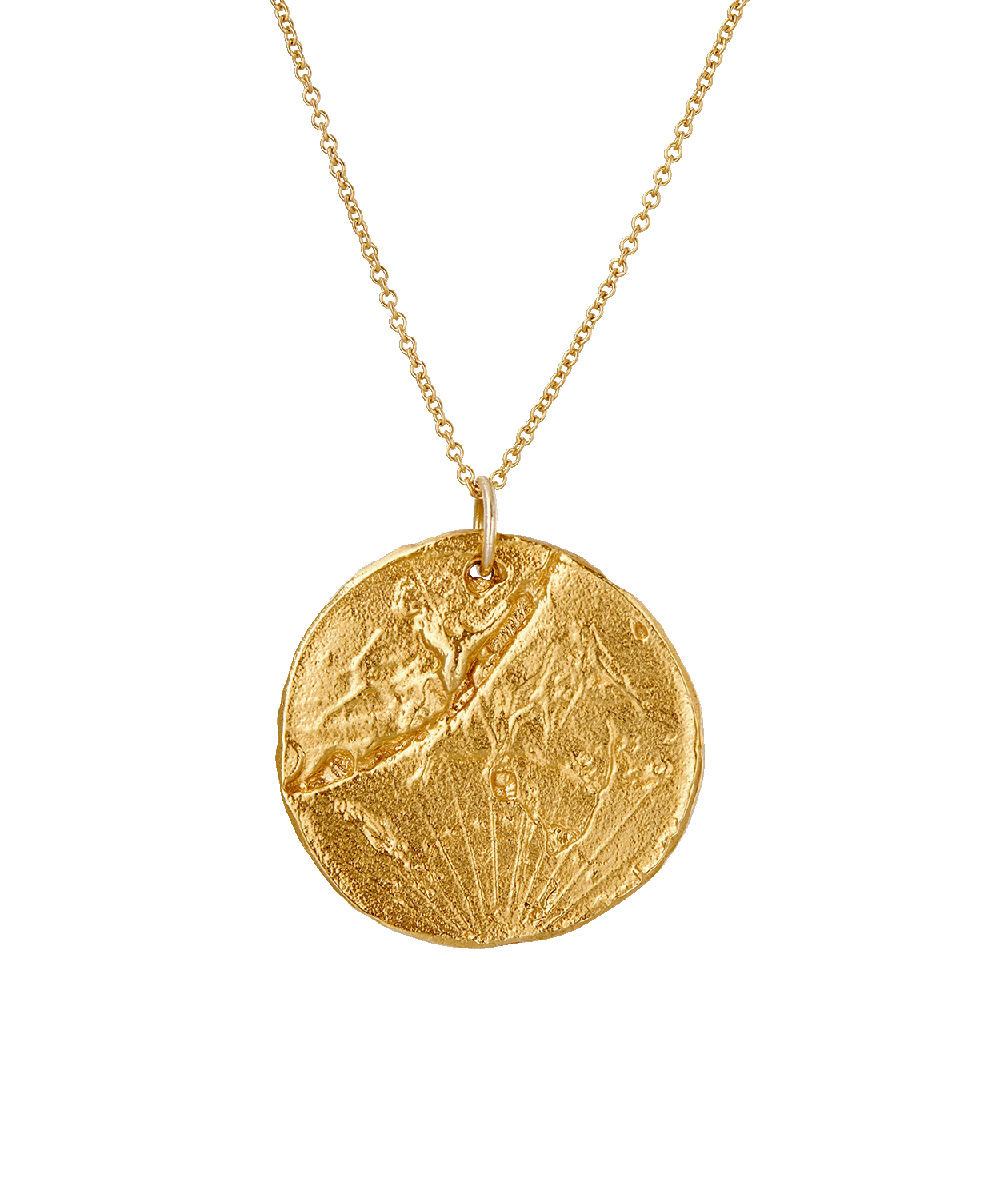 Alighieri Celestial Leo Medallion collier doré lion