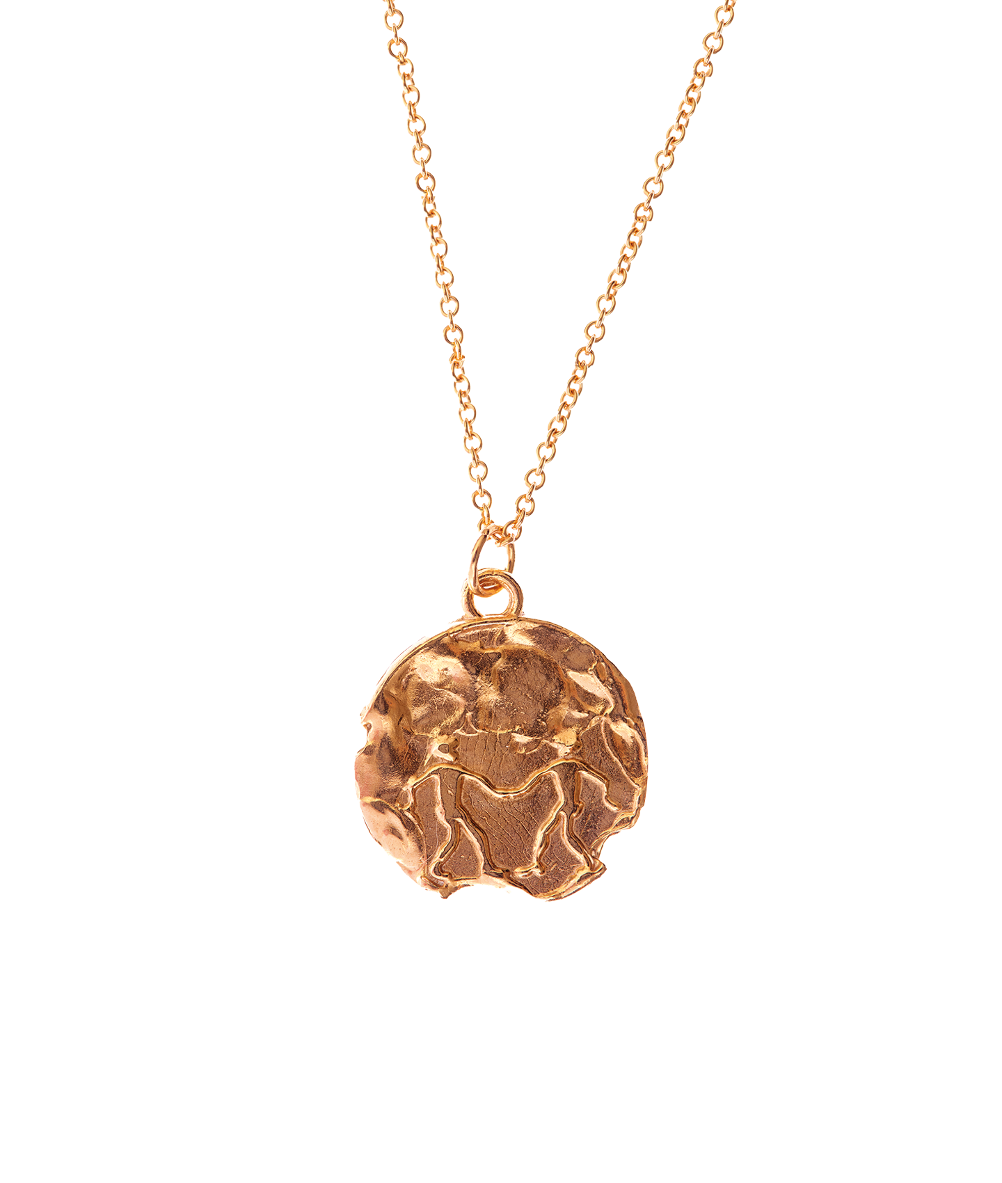 Alighieri Gemini Medallion collier zodiaque plaqué or