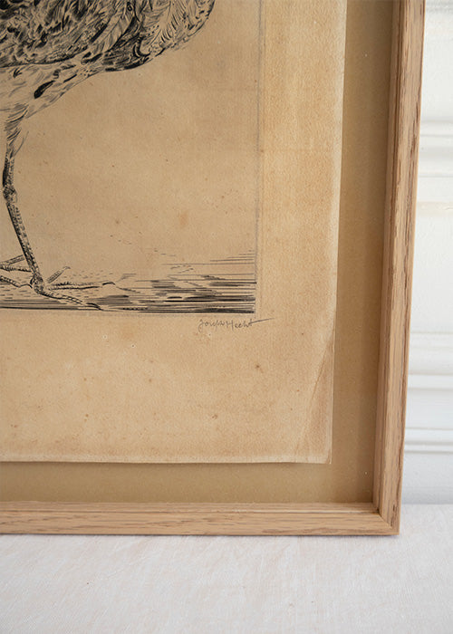 Aimée.Aimer Œuvres Gravure Bécasse Hecht 42,5 cm Encadrée