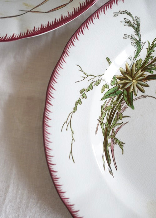Aimée Aimer Papillon Lot 6 assiettes faïence Sarreguemines