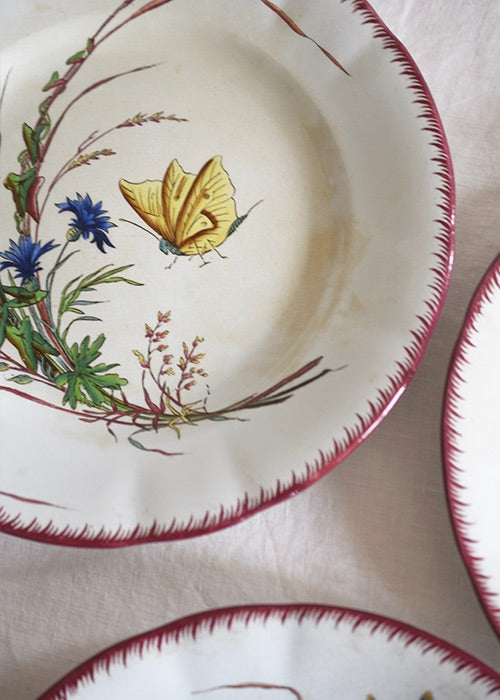 Aimée Aimer Papillon Lot 6 assiettes faïence Sarreguemines
