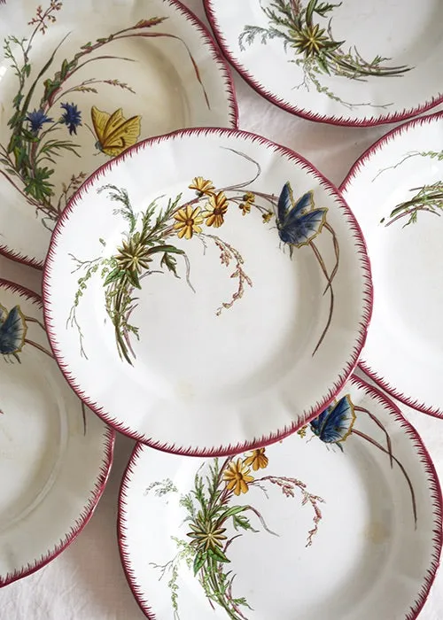 Aimée Aimer Papillon Lot 6 assiettes faïence Sarreguemines