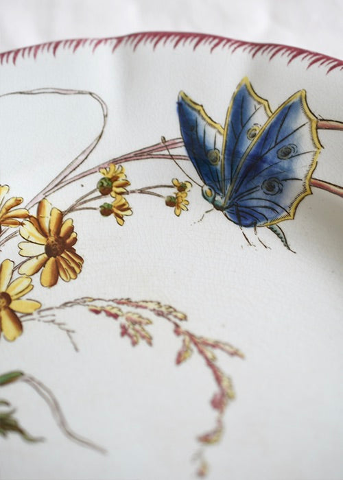 Aimée Aimer Papillon Lot 6 assiettes faïence Sarreguemines