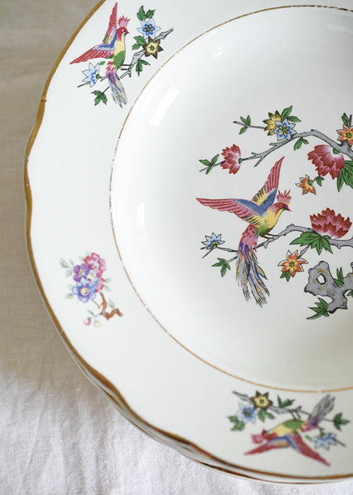 Aimée Aimer Art de la table assiettes Caraïbes lot 6 creuses