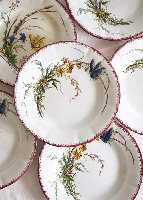 Aimée Aimer Papillon Lot 6 assiettes faïence Sarreguemines