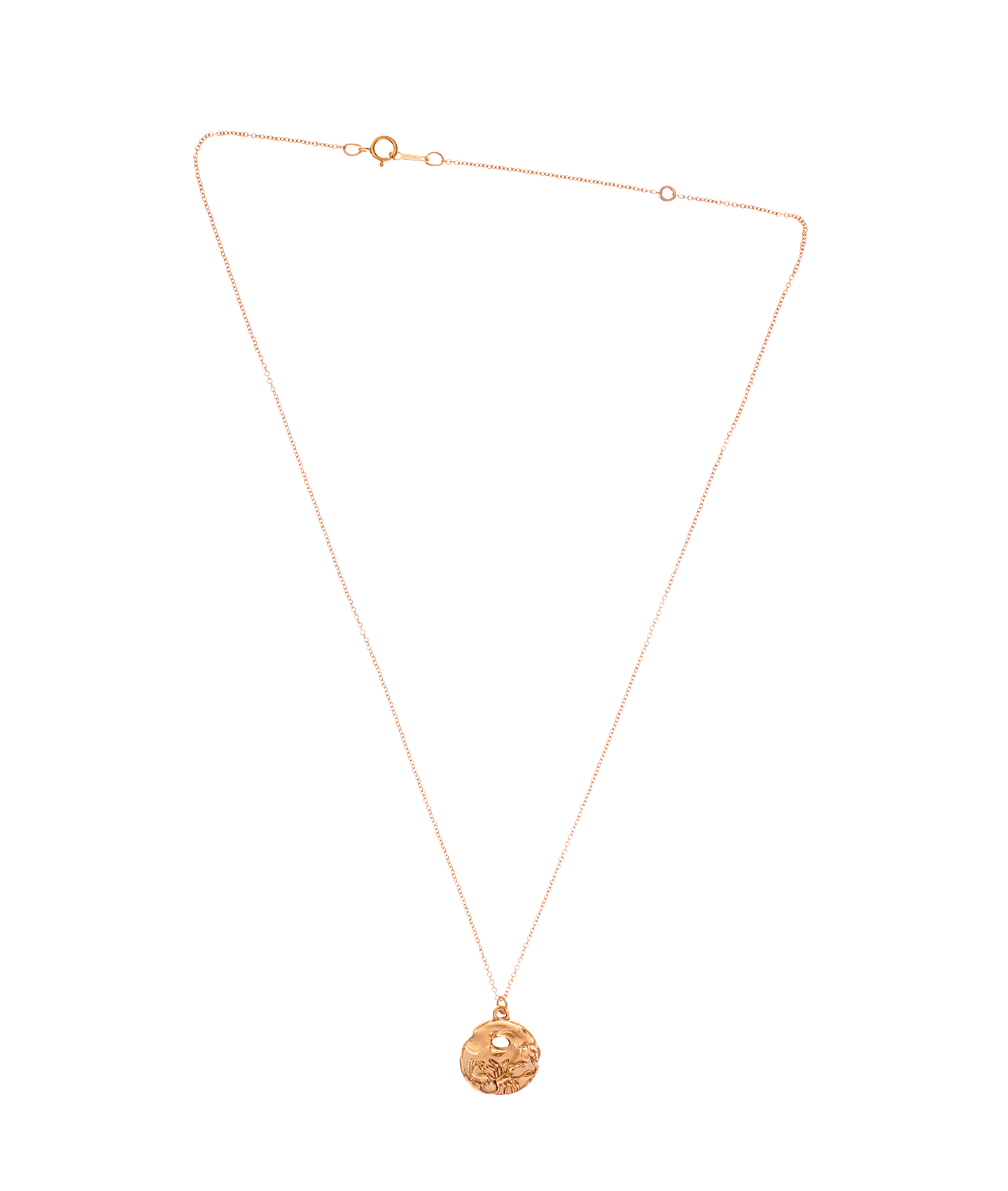 Alighieri Scorpio Medallion collier plaqué or scorpion