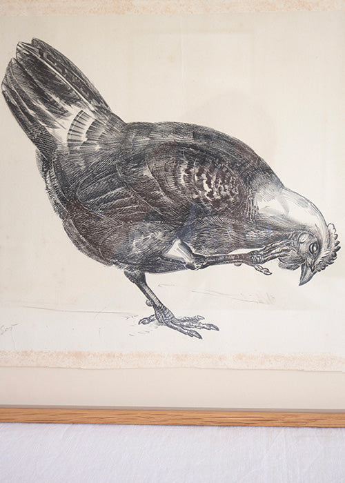 Aimée Aimer Œuvres Épreuve papier chiné 31x44 cadre chêne