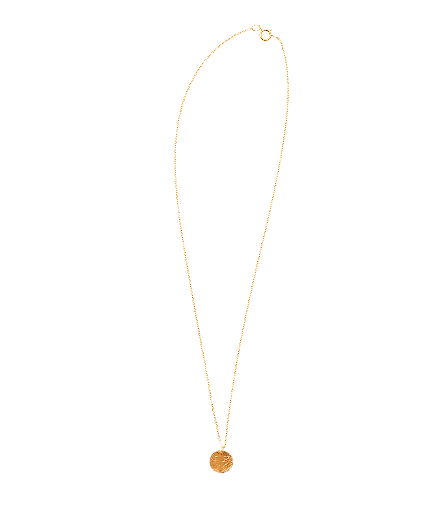 Alighieri Baby Lion Cub collier médaillon antique