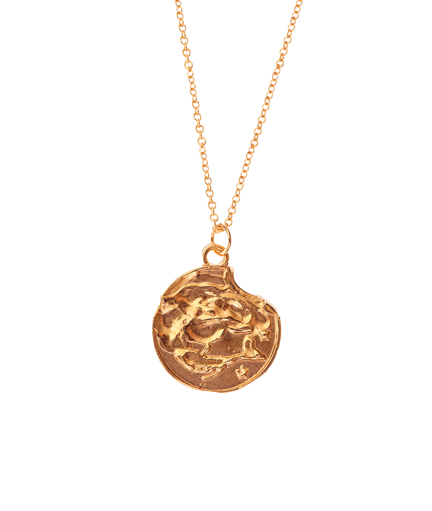 Alighieri Pisces Medallion collier médaille or