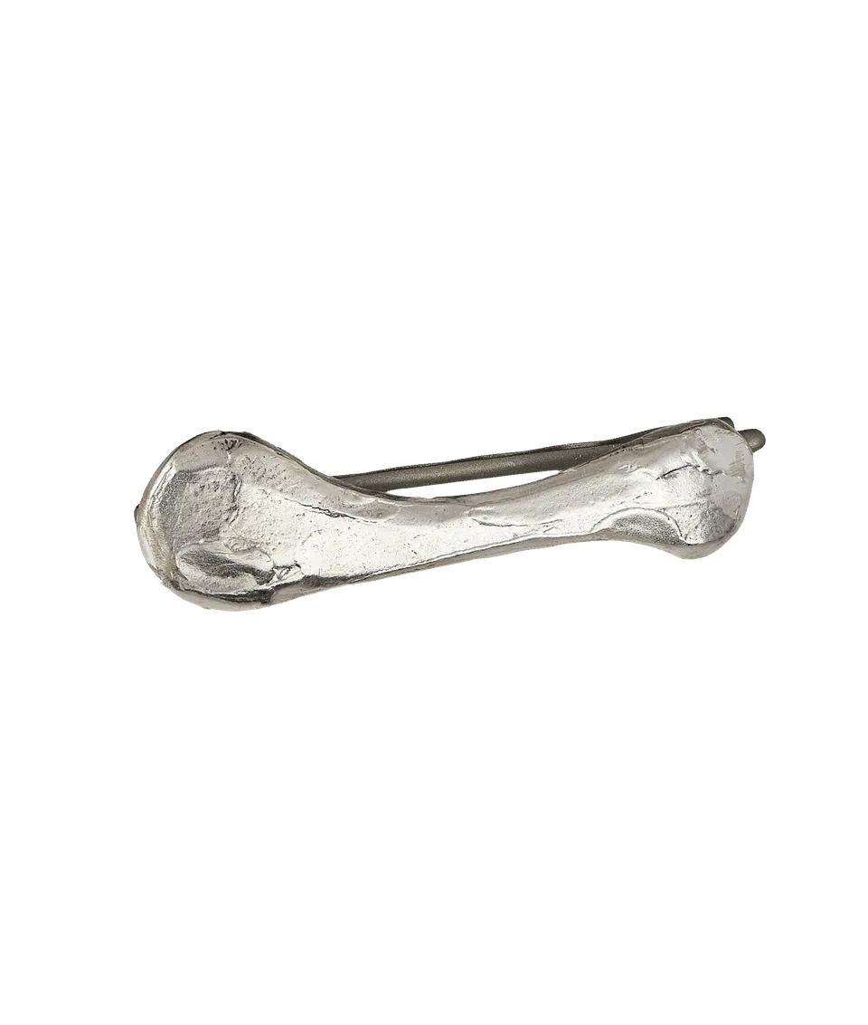 Alighieri Bones of Rebirth barrette argent