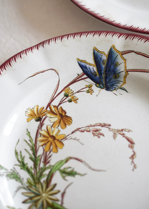 Aimée Aimer Papillon Lot 6 assiettes faïence Sarreguemines