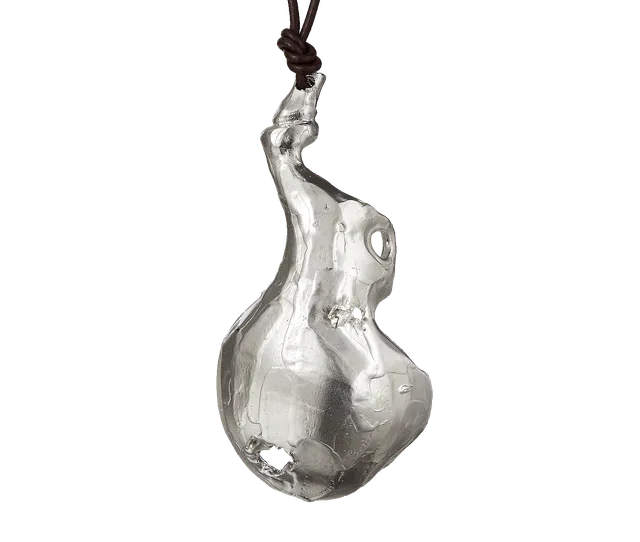 Alighieri Bones of Rebirth collier argent cordon cuir
