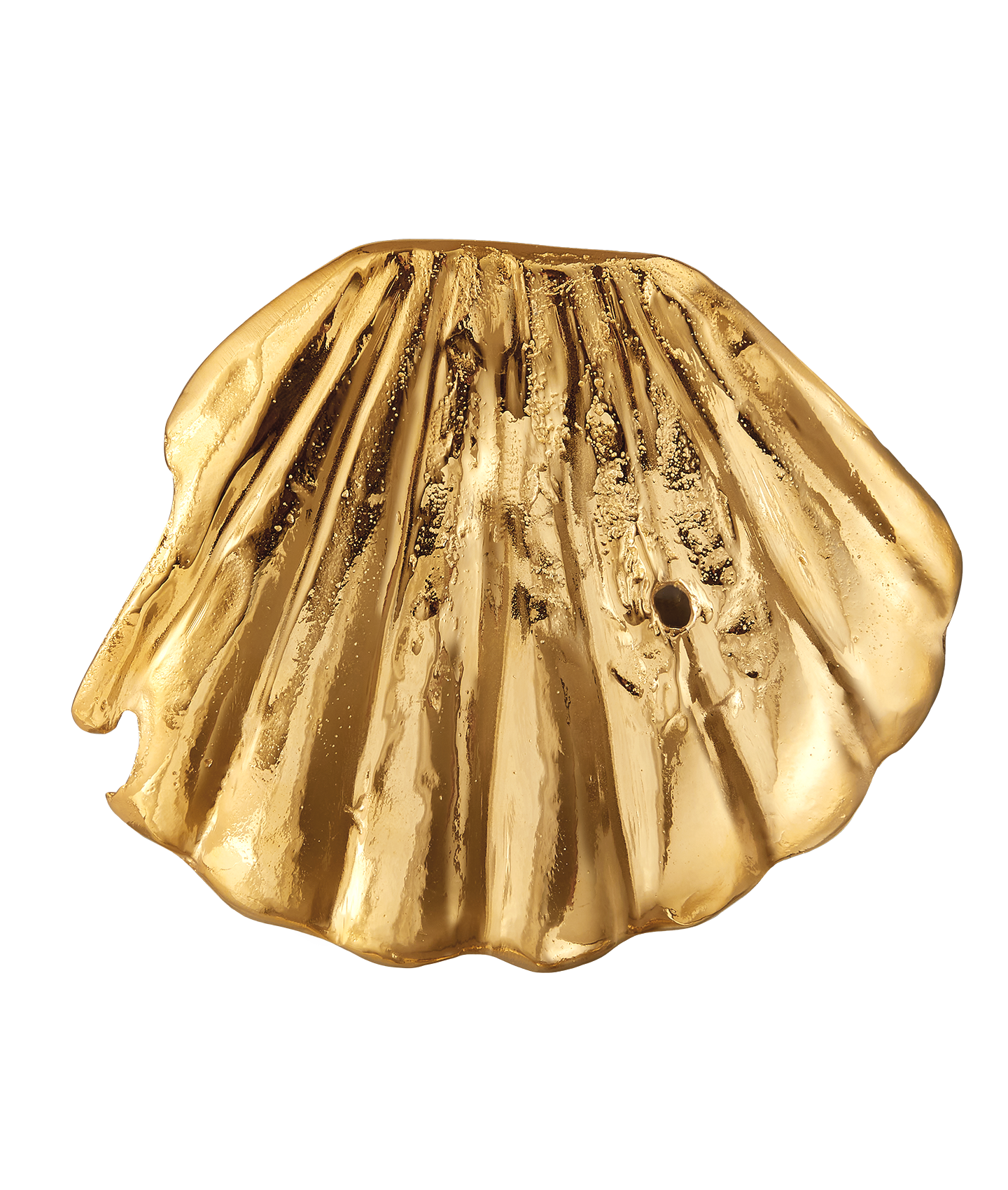 Alighieri Shell of Clarity coupelle coquillage doré