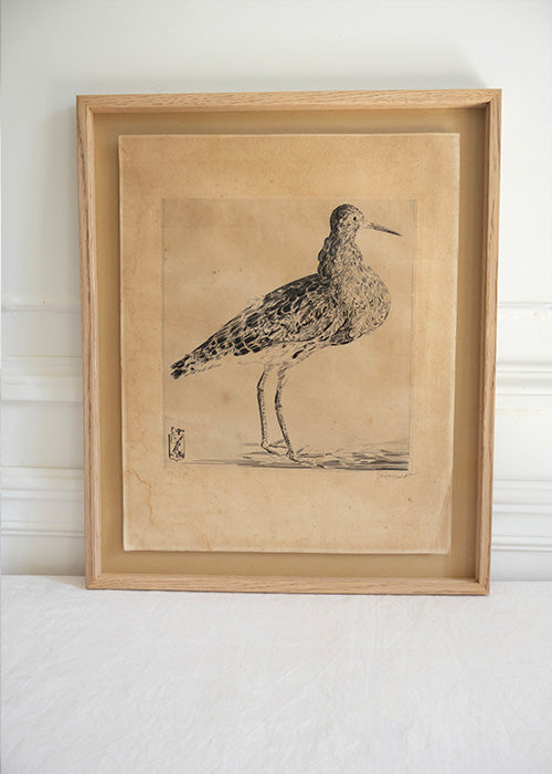 Aimée.Aimer Œuvres Gravure Bécasse Hecht 42,5 cm Encadrée