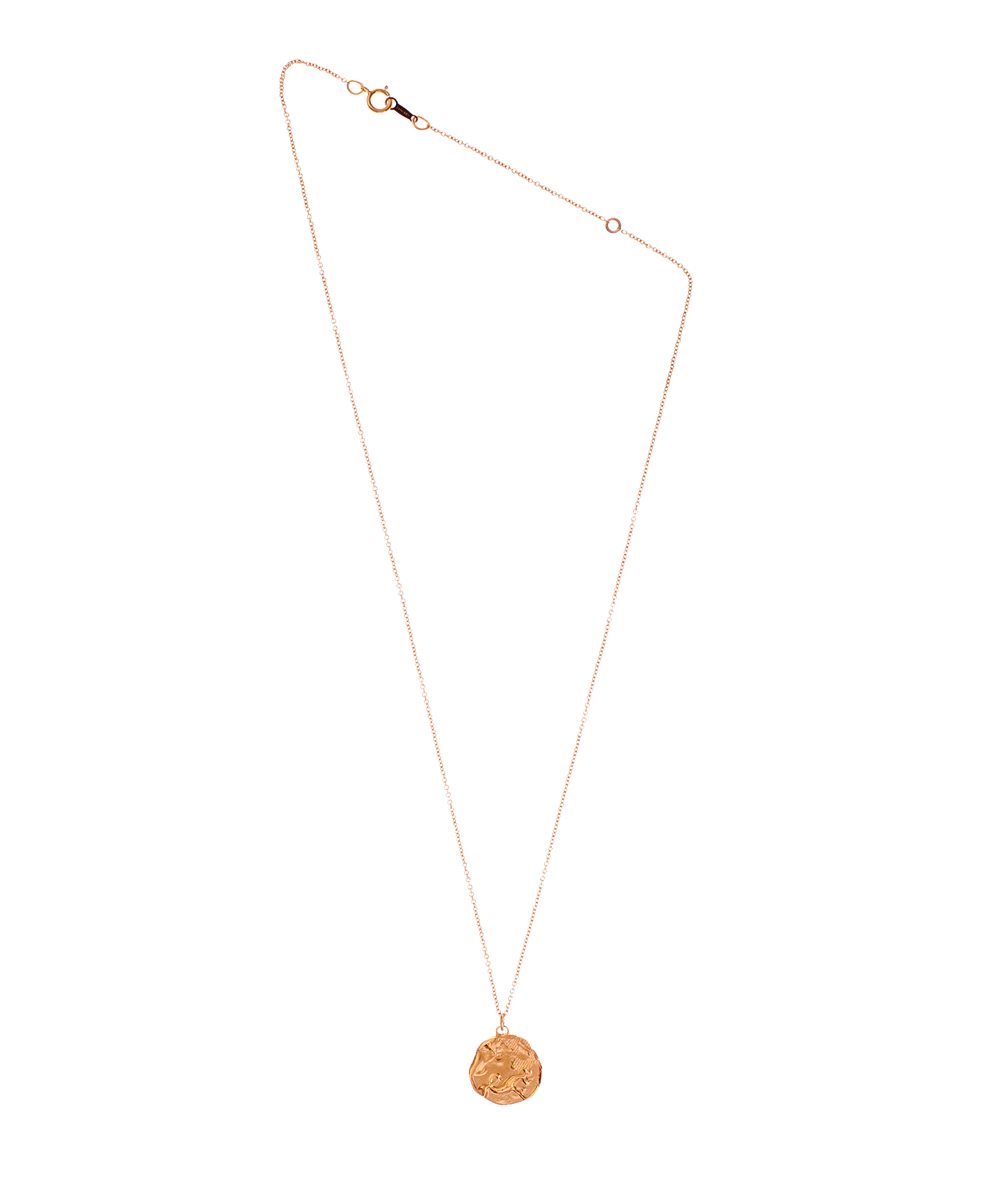 Alighieri The Capricorn Medallion collier or 9kt zodiaque